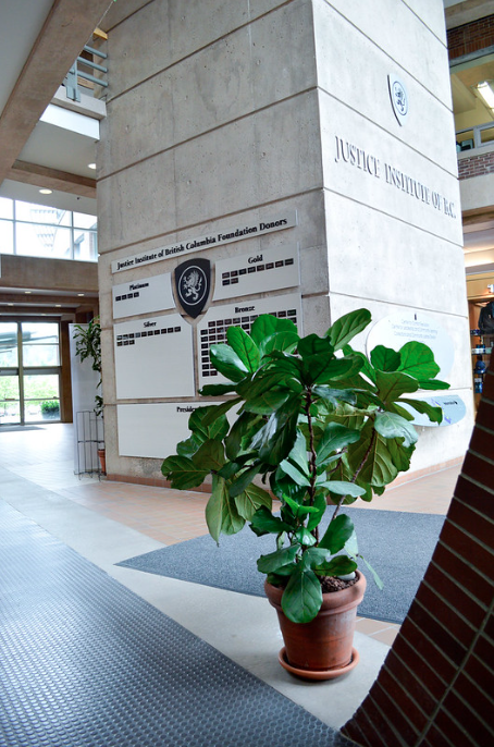 Justice Institute of British Columbia (JIBC)